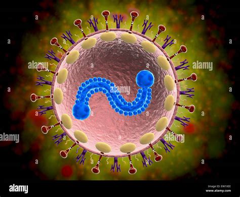 Respiratory syncytial virus .